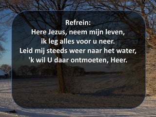Refrein:
Here Jezus, neem mijn leven,
ik leg alles voor u neer.
Leid mij steeds weer naar het water,
'k wil U daar ontmoeten, Heer.
 