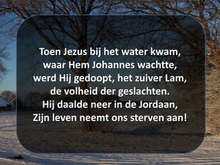 Toen Jezus bij het water kwam,
waar Hem Johannes wachtte,
werd Hij gedoopt, het zuiver Lam,
de volheid der geslachten.
Hij daalde neer in de Jordaan,
Zijn leven neemt ons sterven aan!
 
