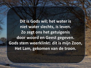 Dit is Gods wil; het water is
niet water slechts, is leven.
Zo zegt ons het getuigenis
door woord en Geest gegeven.
Gods stem weerklinkt: dit is mijn Zoon,
Het Lam, gekomen van de troon.
 