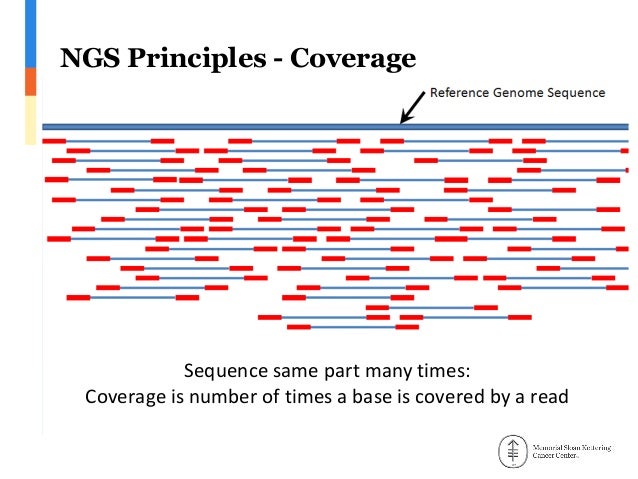 20170209 ngs for_cancer_genomics_101