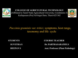 Puccinia graminis var. tritici, symptoms, host range,
taxonomy and life cycle
COLLEGE OF AGRICULTURAL TECHNOLOGY
(Affiliated to Tamil Nadu Agricultural University, Coimbatore-3)
Kullapuram (Po),ViaVaigai Dam, Theni-625 562
STUDENTS
SUVETHA S
DEEPAN S
COURSE TEACHER
Dr. PARTHASARATHY.S
Asst. Professor (Plant Pathology)
 