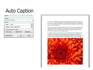 Auto Caption
 