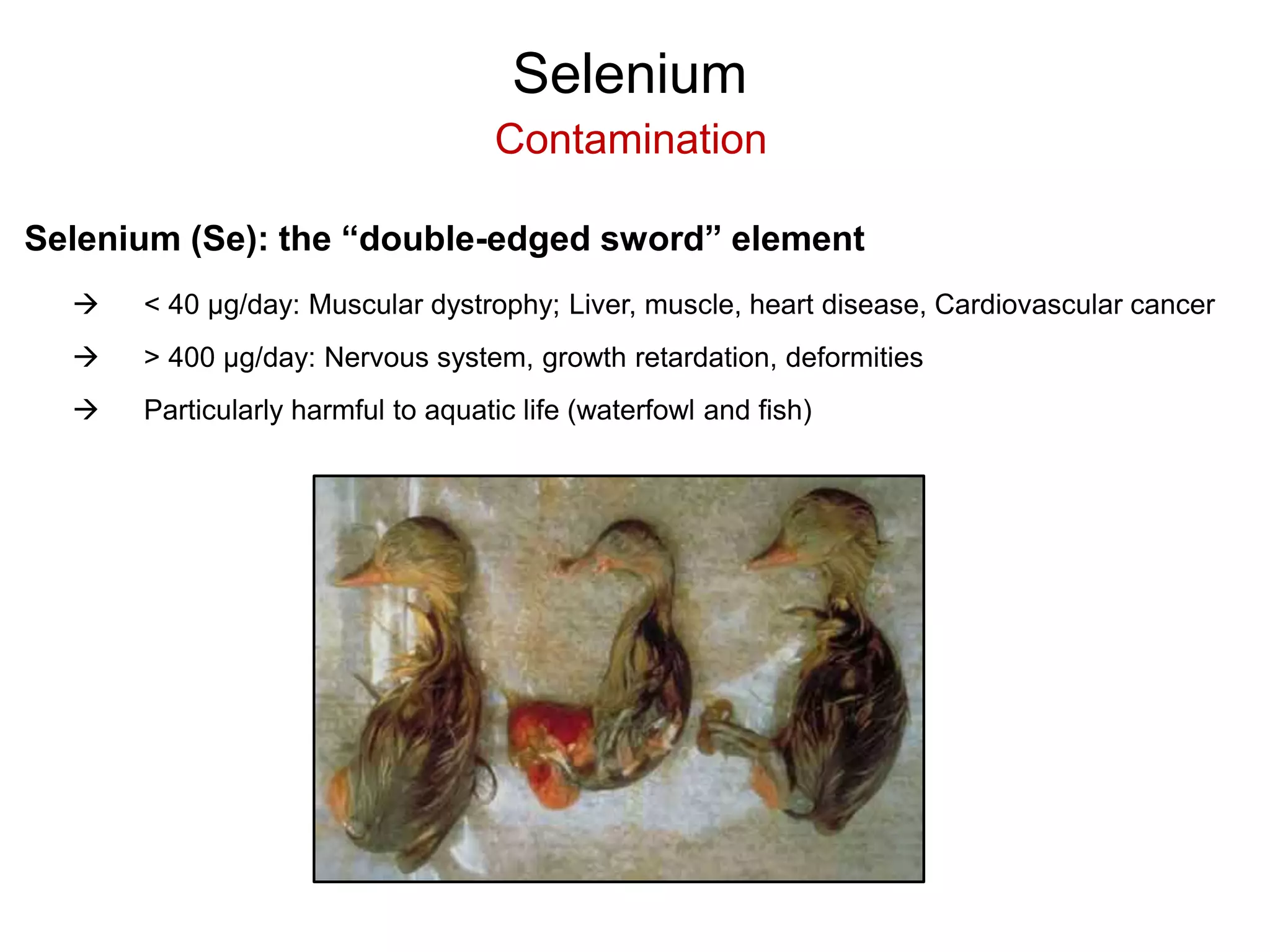 Selenium
Contamination
Selenium (Se): the “double-edged sword” element
 < 40 µg/day: Muscular dystrophy; Liver, muscle, heart disease, Cardiovascular cancer
 > 400 µg/day: Nervous system, growth retardation, deformities
 Particularly harmful to aquatic life (waterfowl and fish)
 