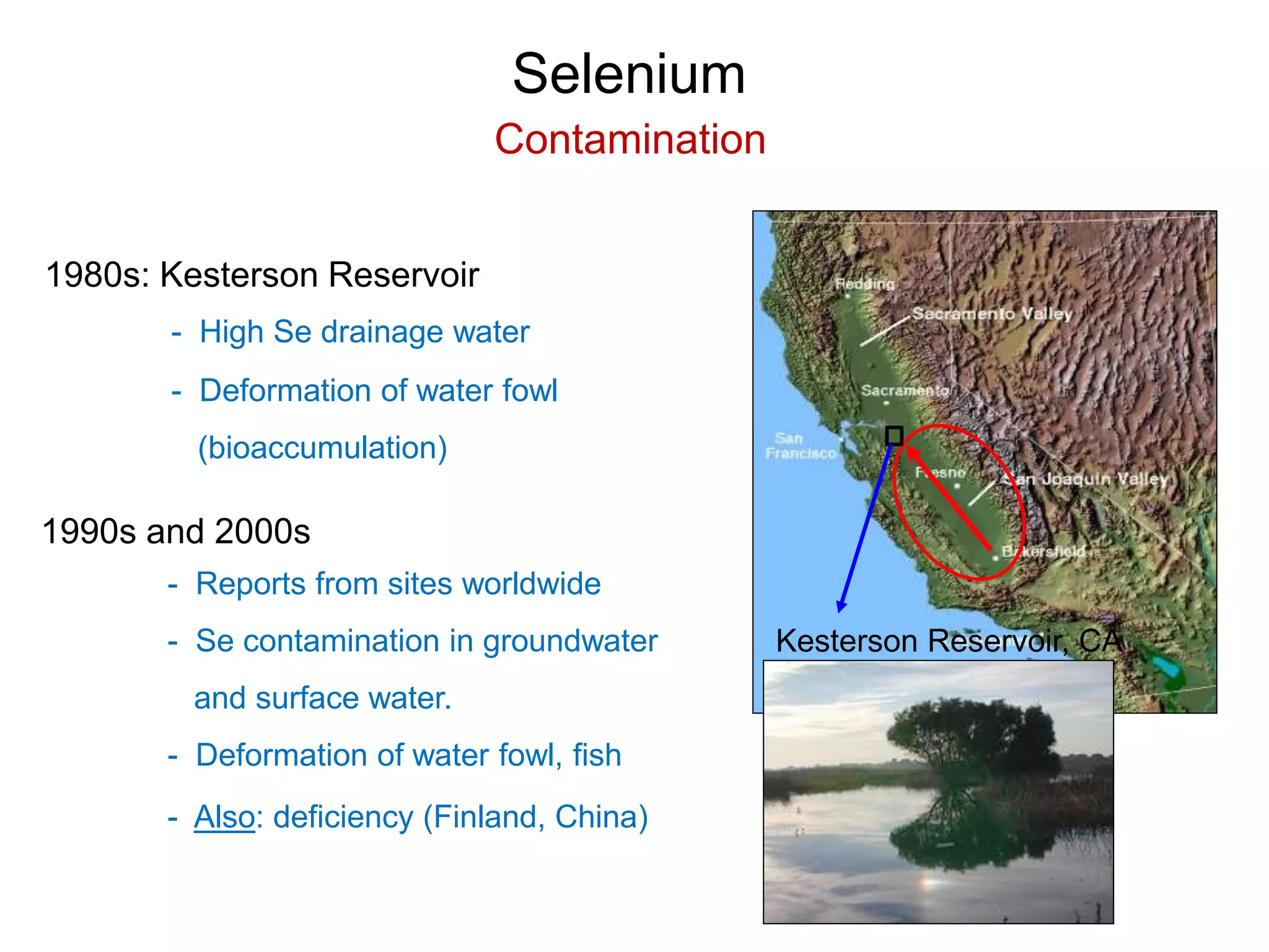 Selenium
Contamination
1980s: Kesterson Reservoir
- High Se drainage water
- Deformation of water fowl
(bioaccumulation)
Kesterson Reservoir, CA
1990s and 2000s
- Reports from sites worldwide
- Se contamination in groundwater
and surface water.
- Deformation of water fowl, fish
- Also: deficiency (Finland, China)
 