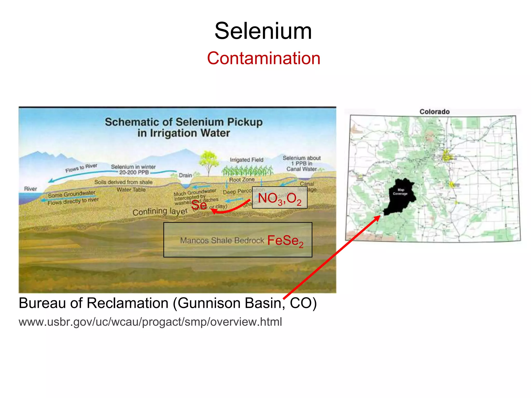 Selenium
Contamination
Bureau of Reclamation (Gunnison Basin, CO)
www.usbr.gov/uc/wcau/progact/smp/overview.html
NO3,O2
FeSe2
Se
 