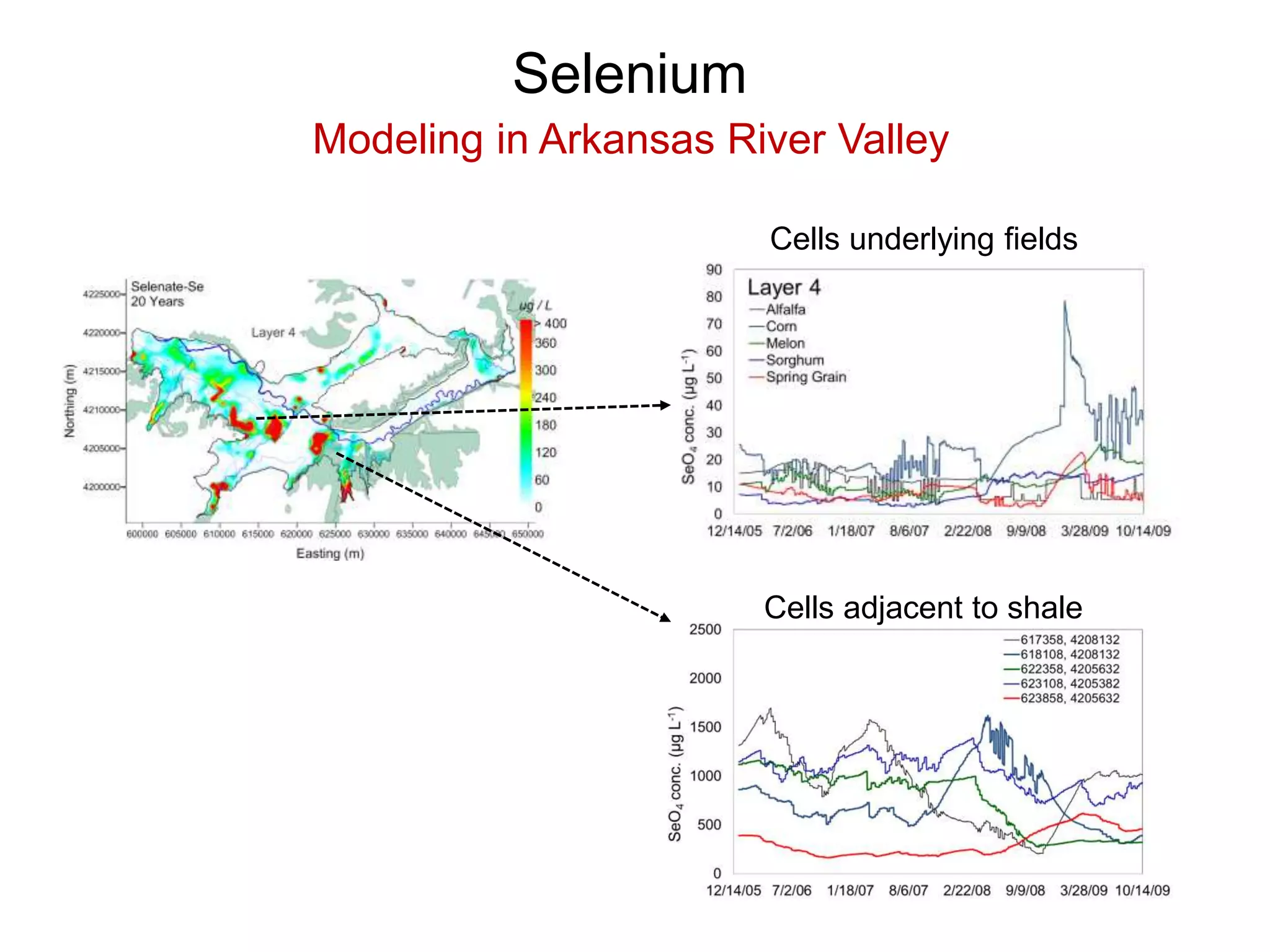 Selenium
Modeling in Arkansas River Valley
Cells adjacent to shale
Cells underlying fields
 