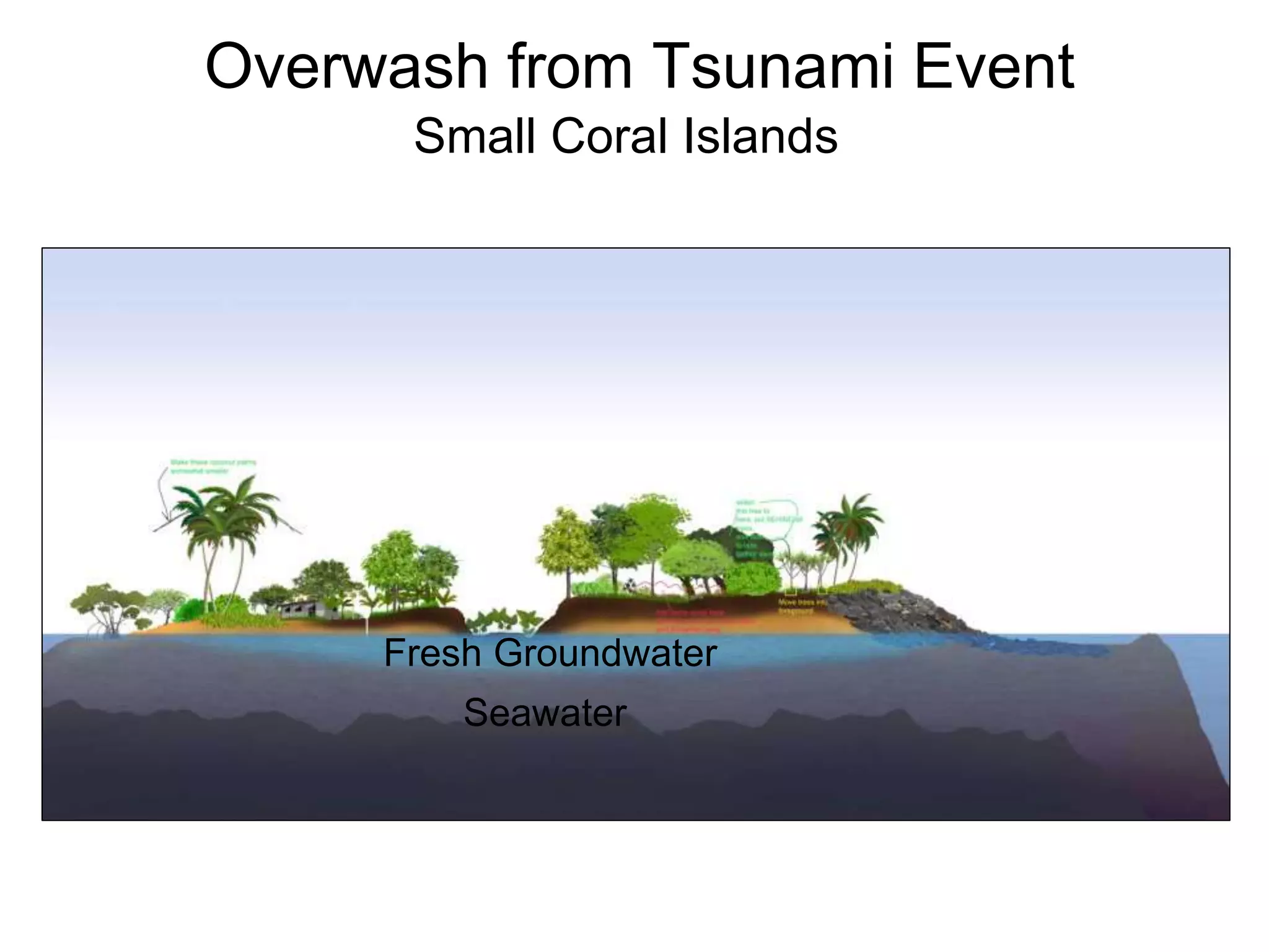 Fresh Groundwater
Seawater
Overwash from Tsunami Event
Small Coral Islands
 