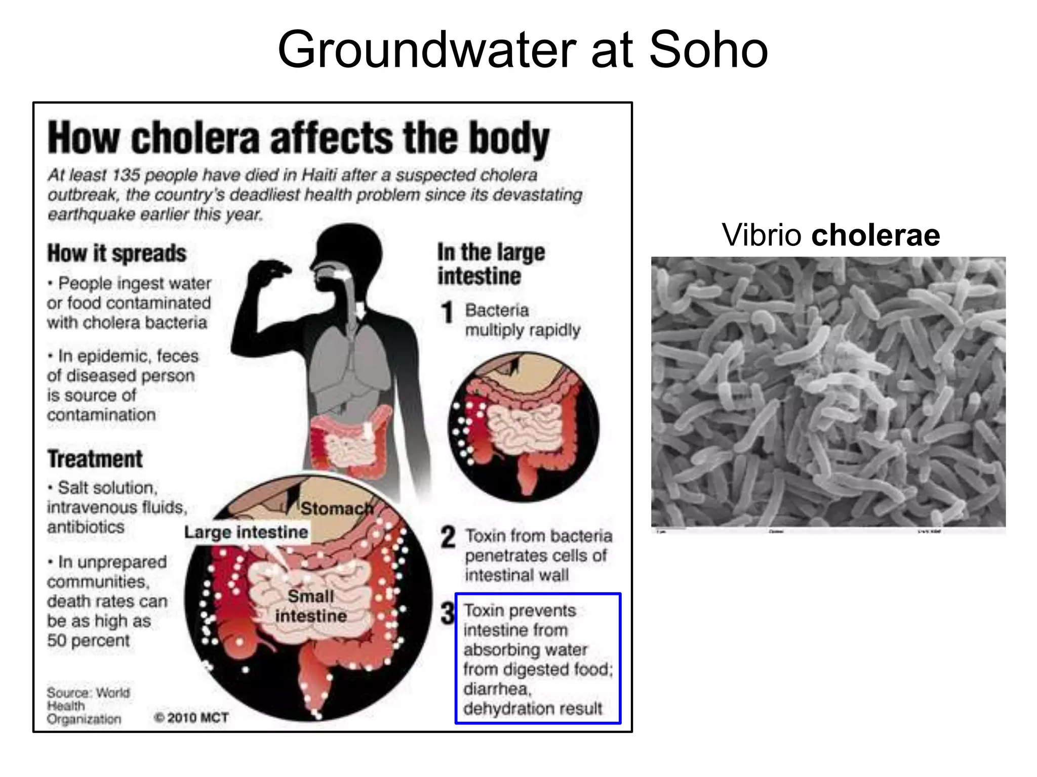 Groundwater at Soho
Vibrio cholerae
 