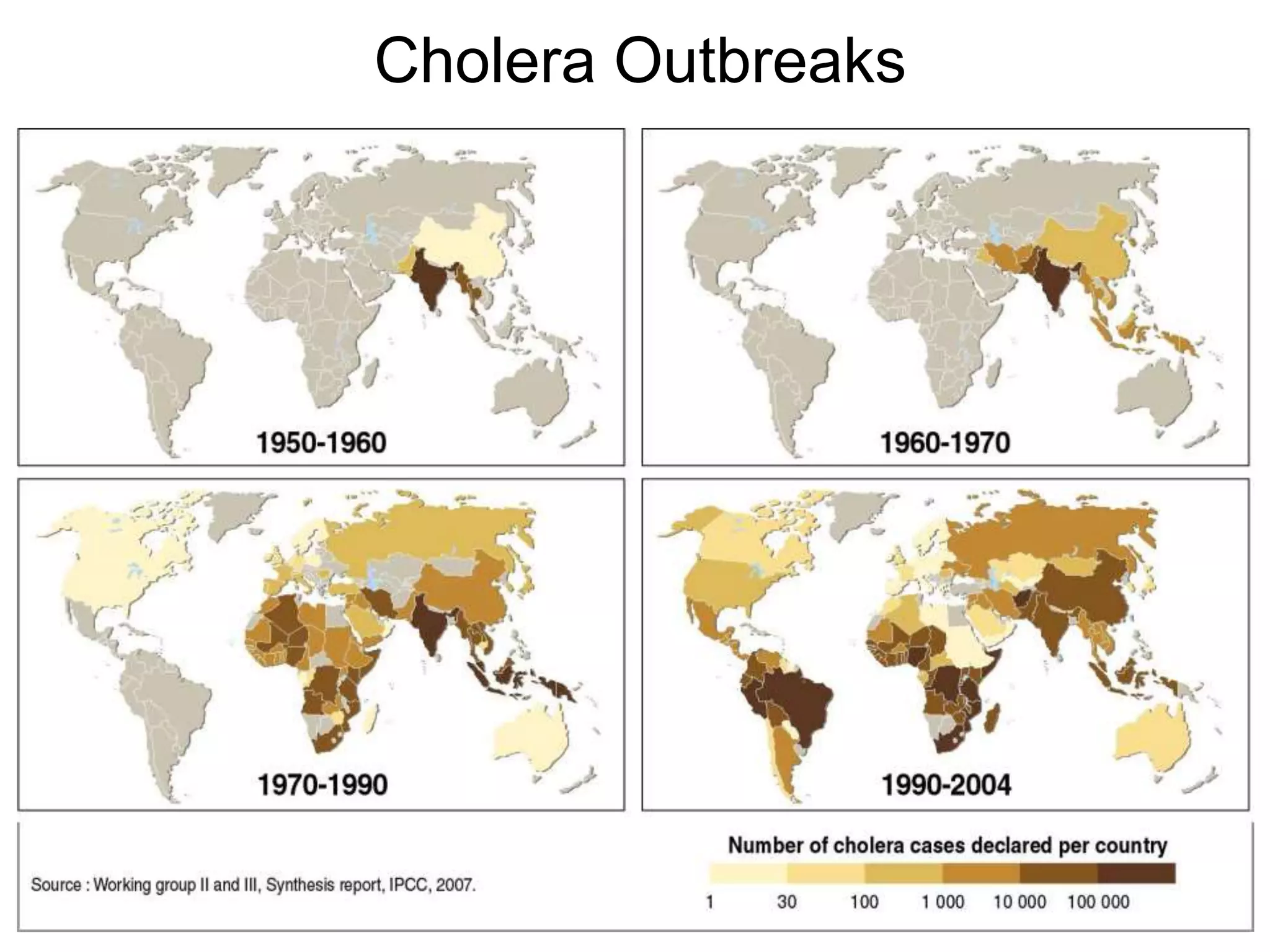 Cholera Outbreaks
 