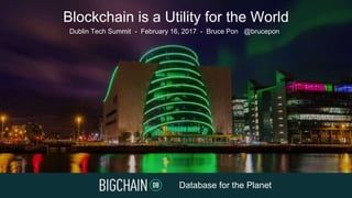 Database for the Planet
Dublin Tech Summit - February 16, 2017 - Bruce Pon @brucepon
Blockchain is a Utility for the World
 