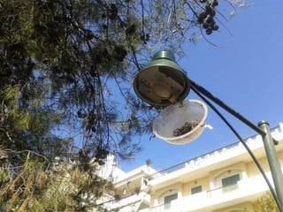 ΕΡΓΑ ΥΠΟΔΟΜΕΣ
• Δημοτικός φωτισμός σε πάρκα παιδικές χαρές
ανύπαρκτος
 