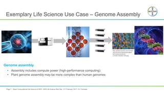 Bayer Case Study Scientific Computing Ppt