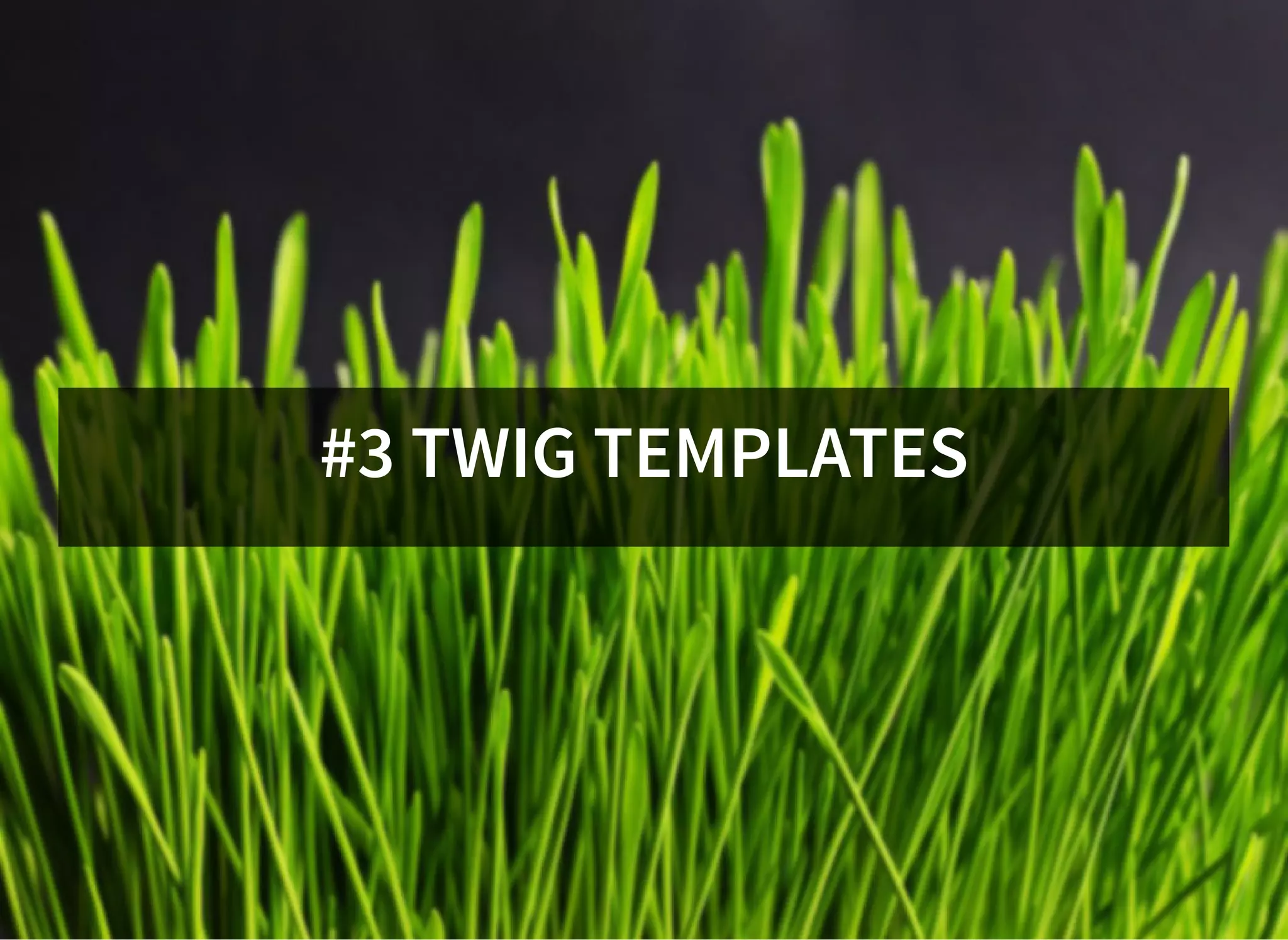 #3 TWIG TEMPLATES
 