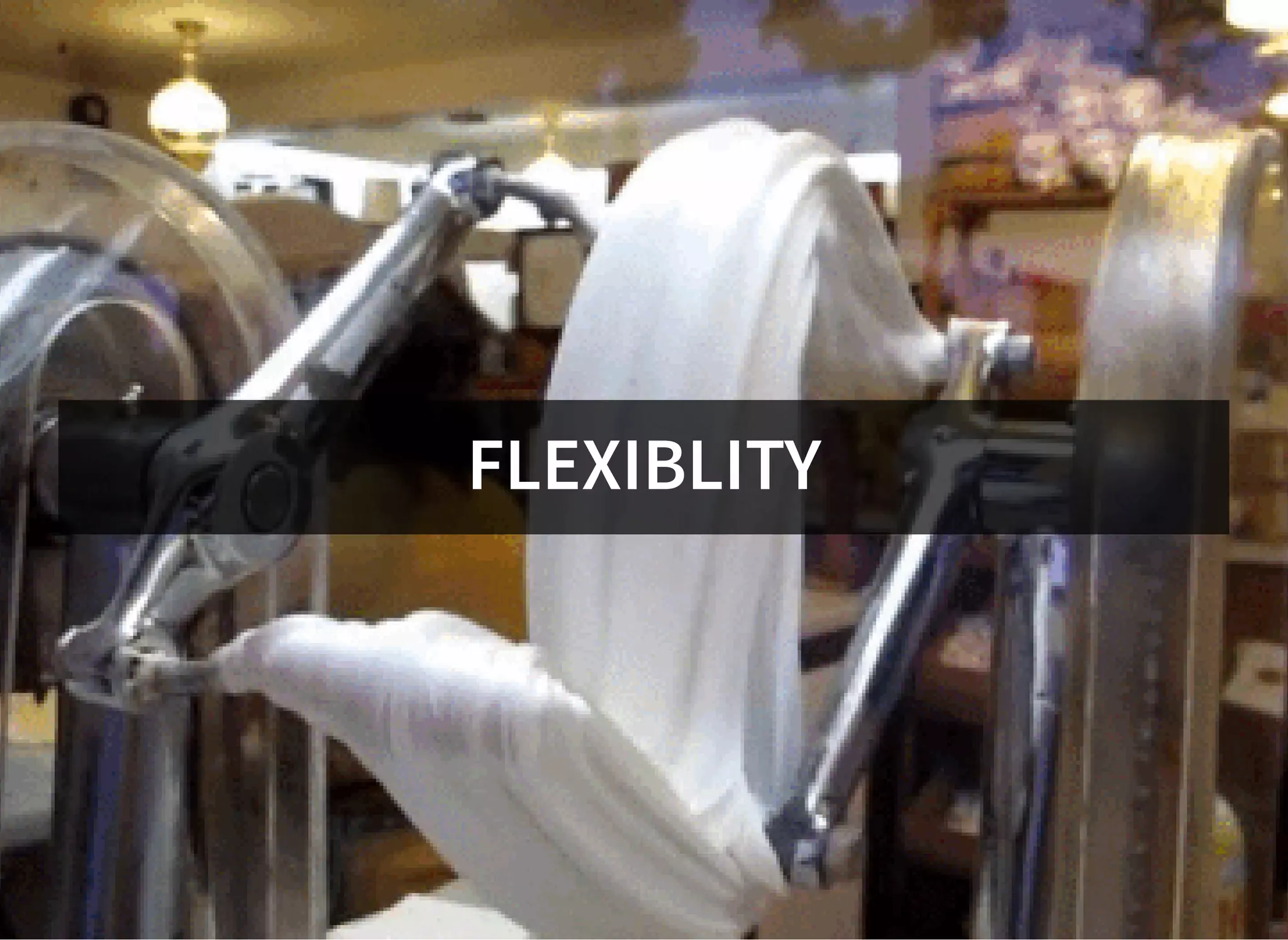 FLEXIBLITY
 