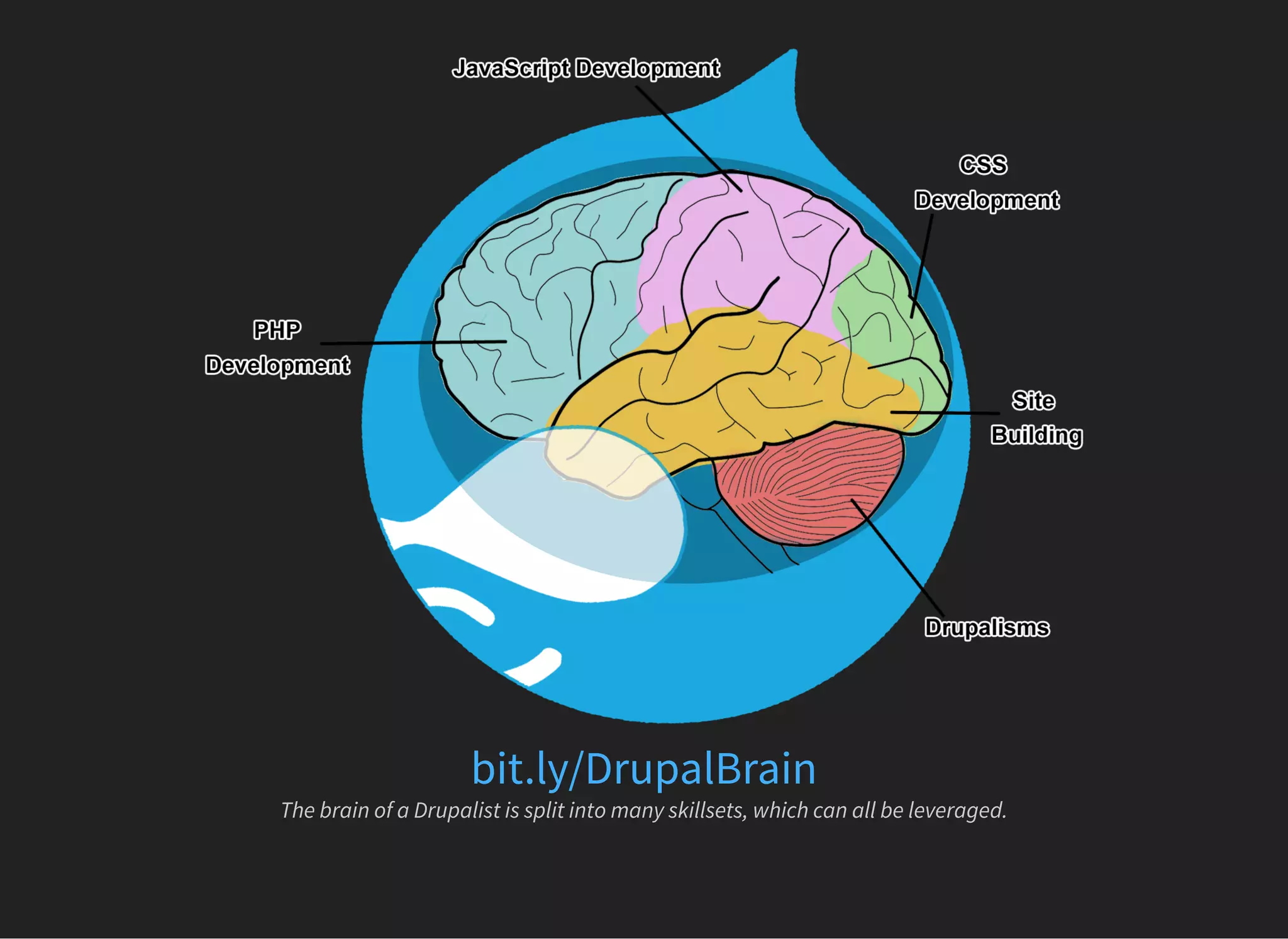 bit.ly/DrupalBrain
The brain of a Drupalist is split into many skillsets, which can all be leveraged.
 