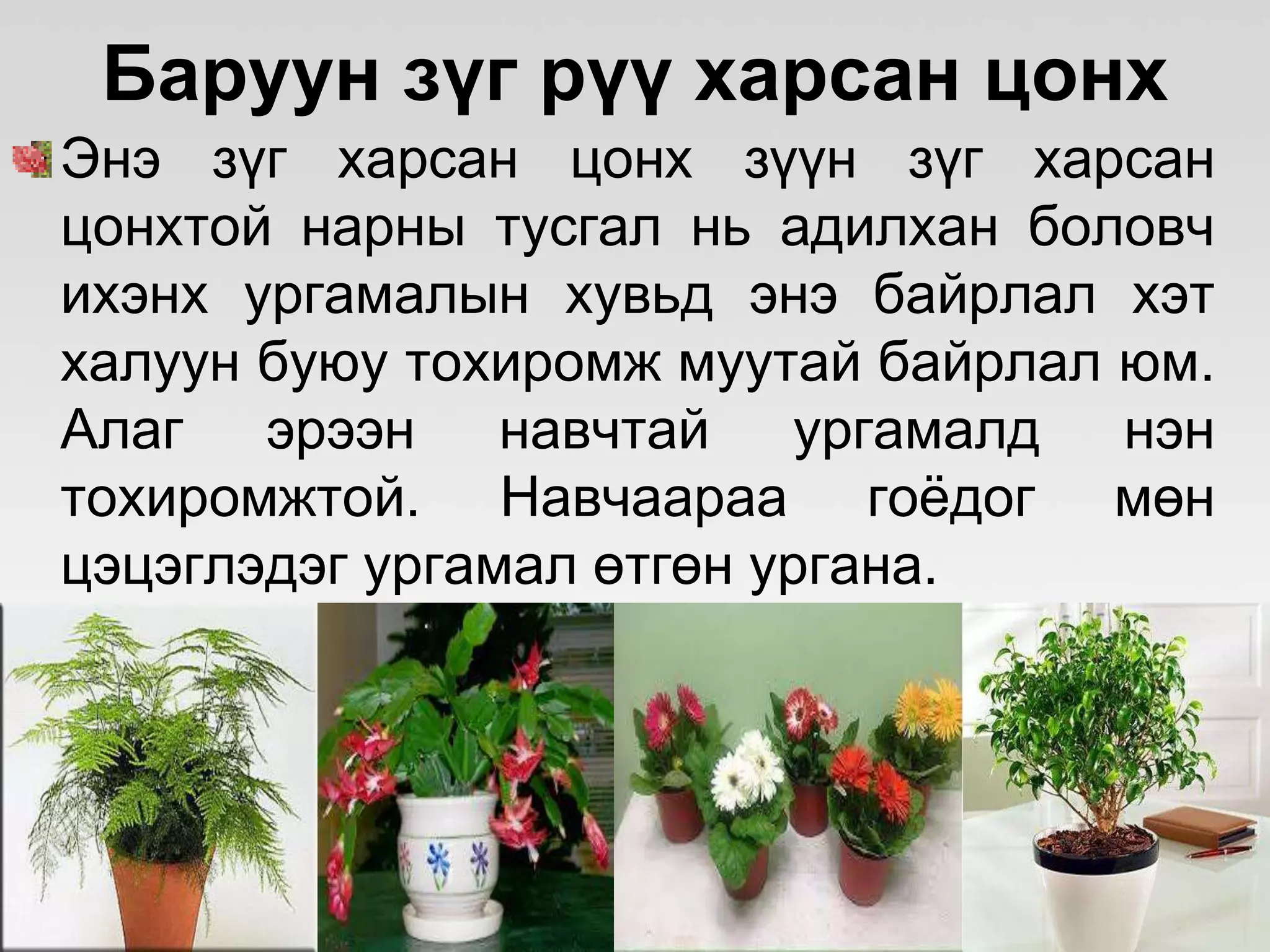 ЦЭЦГИЙН ТАЛААРХ СУДАЛГАА | PPT