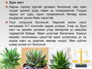 ЦЭЦГИЙН ТАЛААРХ СУДАЛГАА | PPT