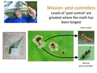 Mission: pest controllers
Levels of ‘pest control’ are
greatest where the moth has
been longest
 