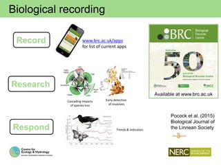 Biological recording
www.brc.ac.uk/apps
for list of current apps
Early detection
of invasives
Cascading impacts
of species loss
Trends & indicators
Pocock et al. (2015)
Biological Journal of
the Linnean Society
Record
Research
Respond
Available at www.brc.ac.uk
 