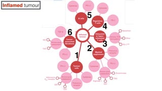 Elements of cancer immunity and the cancer-immune set point | PDF