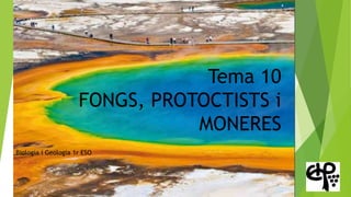 Tema 10
FONGS, PROTOCTISTS i
MONERES
Biologia i Geologia 1r ESO
 