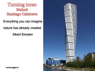 carlomaggio.it
Everything you can imagine
nature has already created
Albert Einstein
 