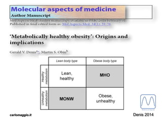 carlomaggio.it Denis 2014
 