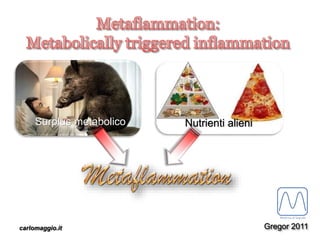 carlomaggio.it
Surplus metabolico Nutrienti alieni
Gregor 2011
 
