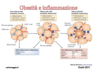 carlomaggio.it Ouchi 2011
 