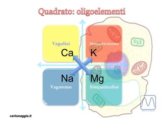 carlomaggio.it
Na
K
Mg
Ca
 
