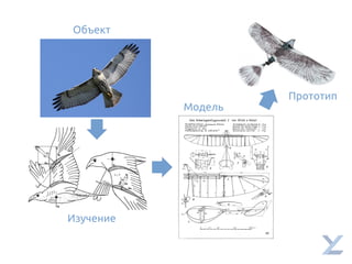 Объект
Изучение
Модель
Прототип
 