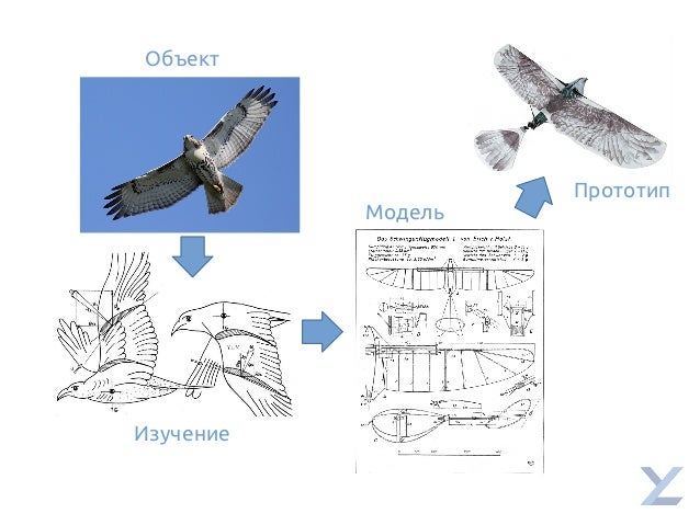 Исаев Теория Политики Купить Исаев Теория Политики Купить