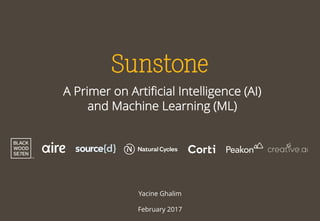 A Primer on Artificial Intelligence (AI)
and Machine Learning (ML)
Yacine Ghalim
February 2017
 