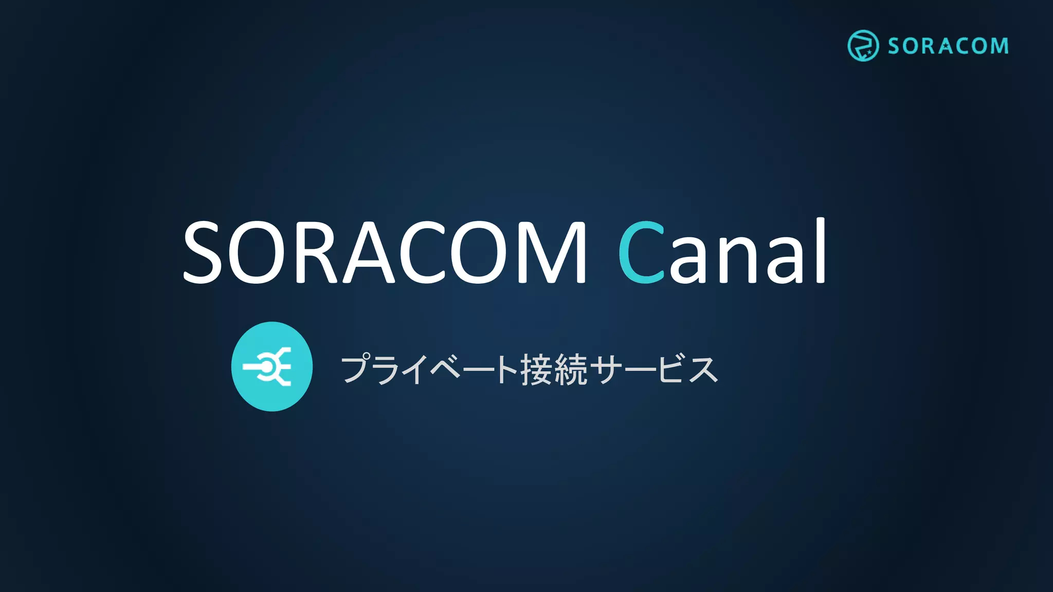 SORACOM CanalC
プライベート接続サービス
 