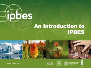 An Introduction to
IPBES
www.ipbes.net
 