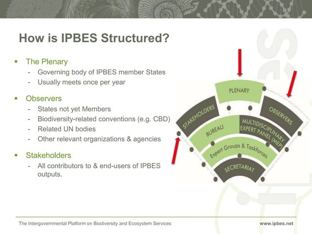 An Introduction To IPBES PPTX