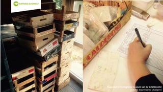 Regionaal archeologische museum van de Scheldevallei
VOBOW, Waarmaarde (Avelgem)
 