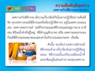 เทศกาลกับพิธีกรรมทางศาสนา
ความสัมพันธ์ระหว่าง
เทศกำลกับพิธีกรรม มีควำมเกี่ยวพันธ์กันในทำงปฏิบัติอย่ำงเห็นได้
ชัด ทุกเทศกำลจะมีพิธีกรรมหรือข้อปฏิบัติต่ำงๆ อยู่ในเทศกำลเสมอ
เช่น เทศกำลสงกรำนต์ จะมีกิจกรรมและพิธีกรรมแฝงอยู่มำกมำย อำทิ
เช่น พิธีรดนำดำหัวผู้ใหญ่ พิธีทำบุญตักบำตร หรือ เทศกำลลอยกระทง
ก็จะมีพิธีกรรมขอขมำพระแม่คงคำในกิจกรรมลอยกระทง เป็นต้น
ดังนัน จะเห็นว่ำเทศกำลมักจะมี
พิธีกรรมเข้ำมำเกี่ยวข้องในทำงปฏิบัติอยู่
เสมอ พิธีกรรมนันเปรียบเสมือนนำที่
แทรกซึมอยู่ในส่วนต่ำงๆ ของทุกเทศกำล
 