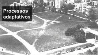 Processos
Adaptativos
MauricioBitencourt.com 58
 
