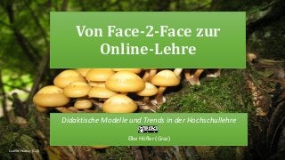 Von Face-2-Face zur
Online-Lehre
Didaktische Modelle und Trends in der Hochschullehre
Elke Höfler (Graz)
Quelle: Pixabay (CC0)
 