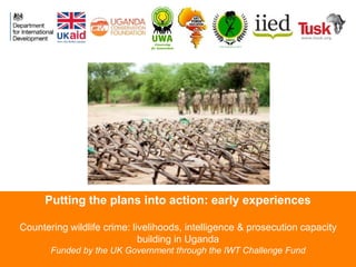 Putting the plans into action: early experiences
Countering wildlife crime: livelihoods, intelligence & prosecution capaci...