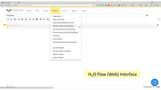24
H2O Flow (Web) Interface
 
