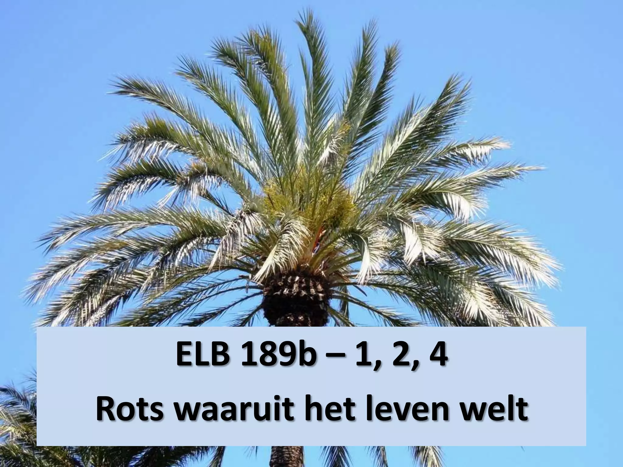 ELB 189b – 1, 2, 4
Rots waaruit het leven welt
 