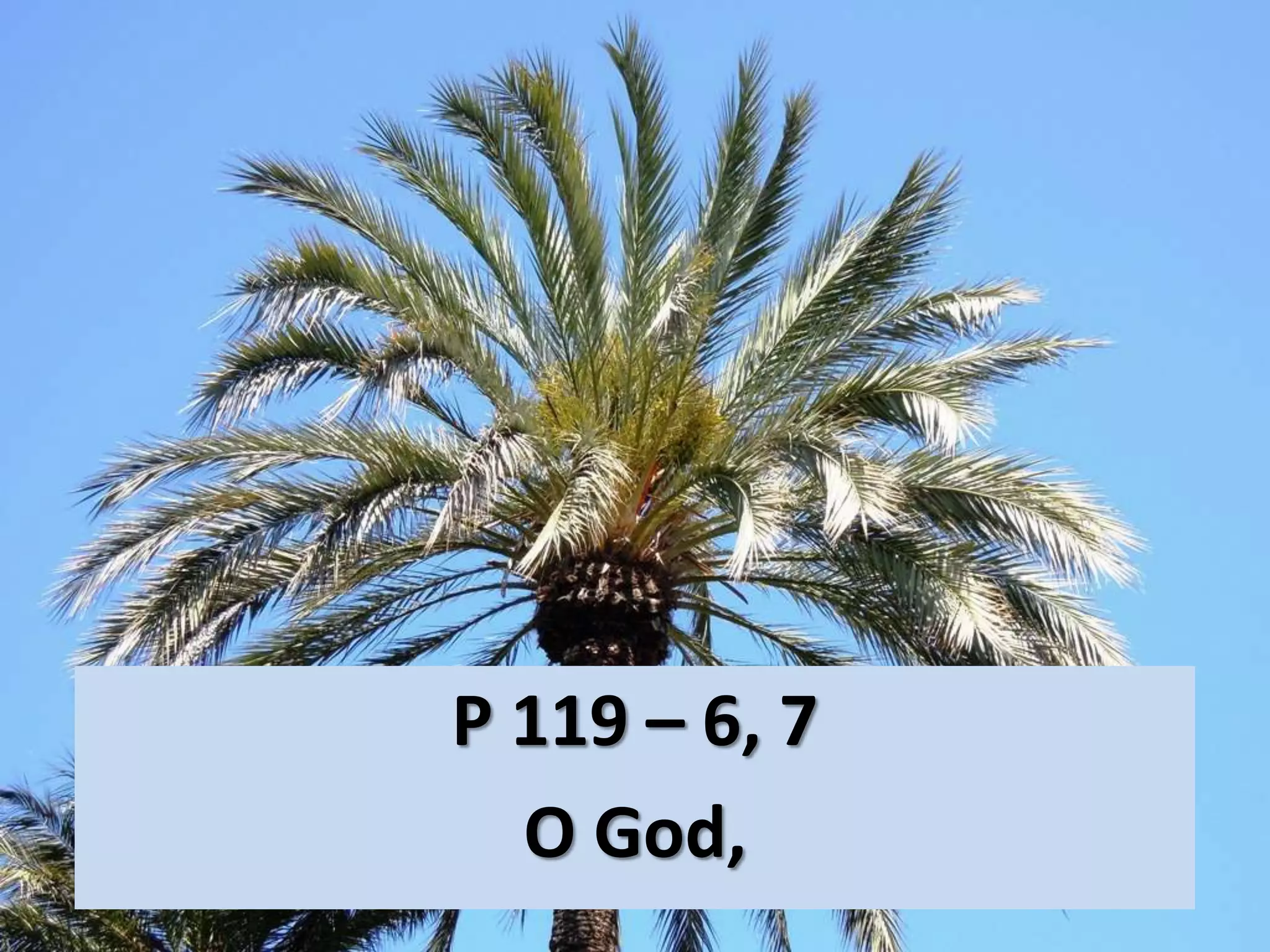 P 119 – 6, 7
O God,
 