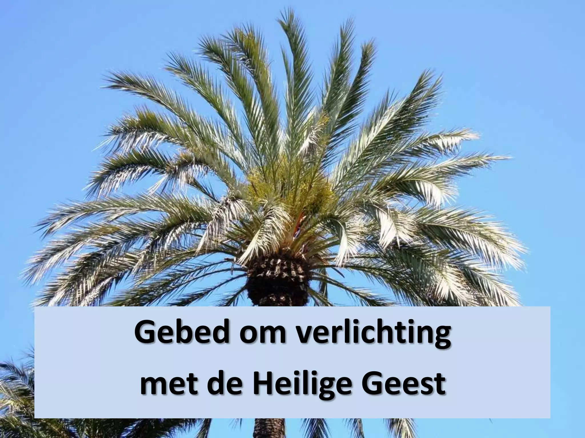 Gebed om verlichting
met de Heilige Geest
 