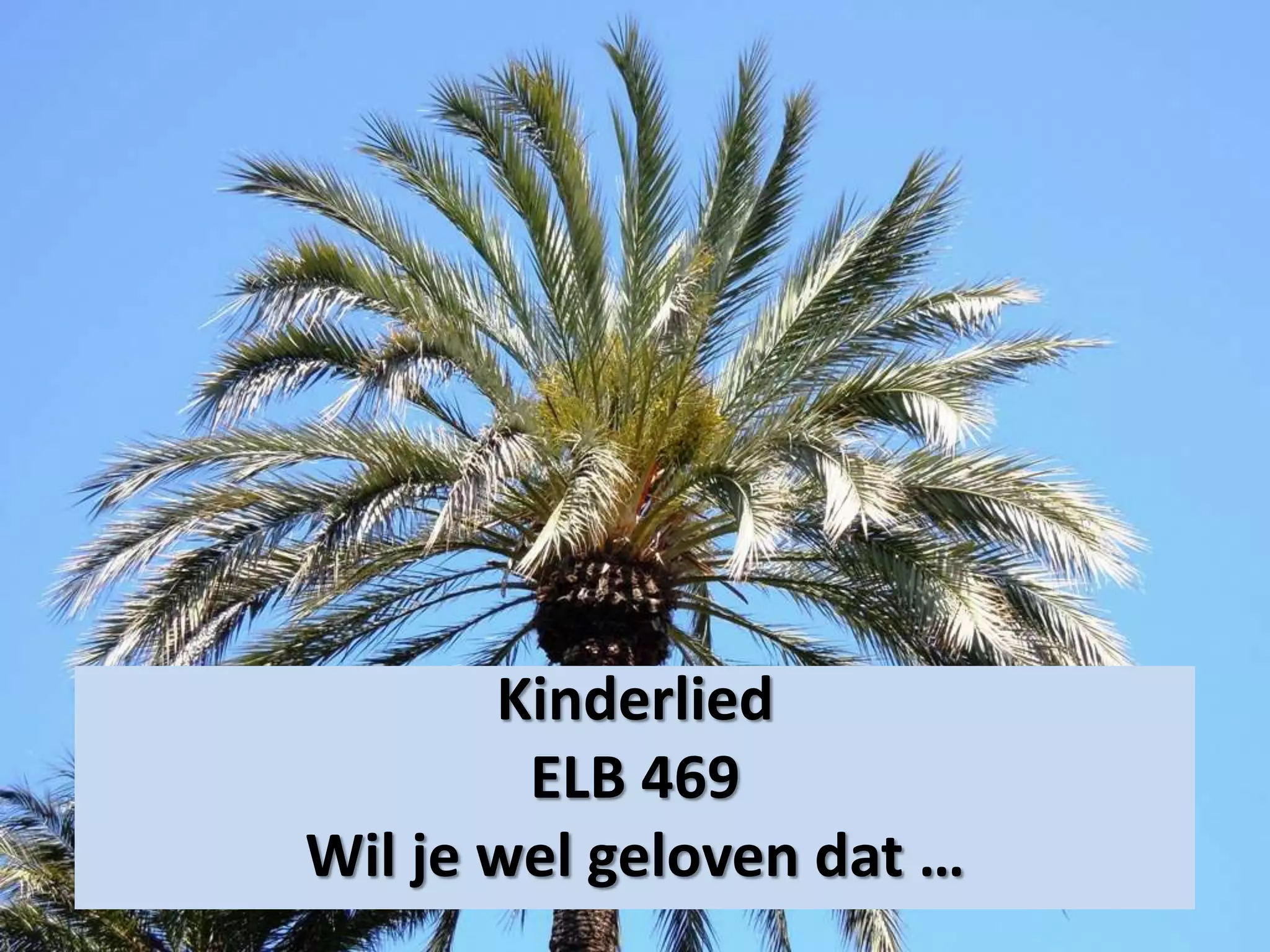Kinderlied
ELB 469
Wil je wel geloven dat …
 