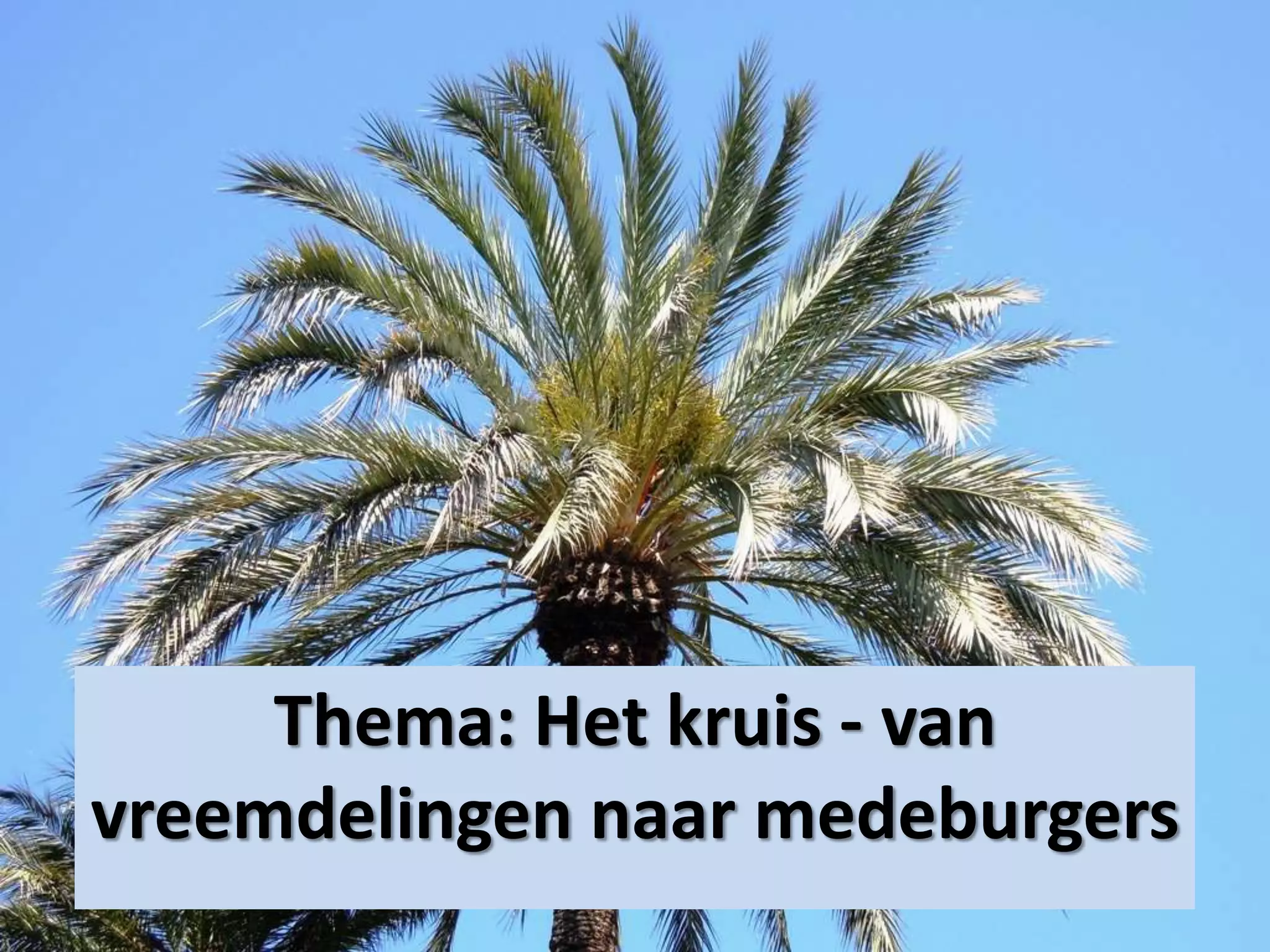 Thema: Het kruis - van
vreemdelingen naar medeburgers
 