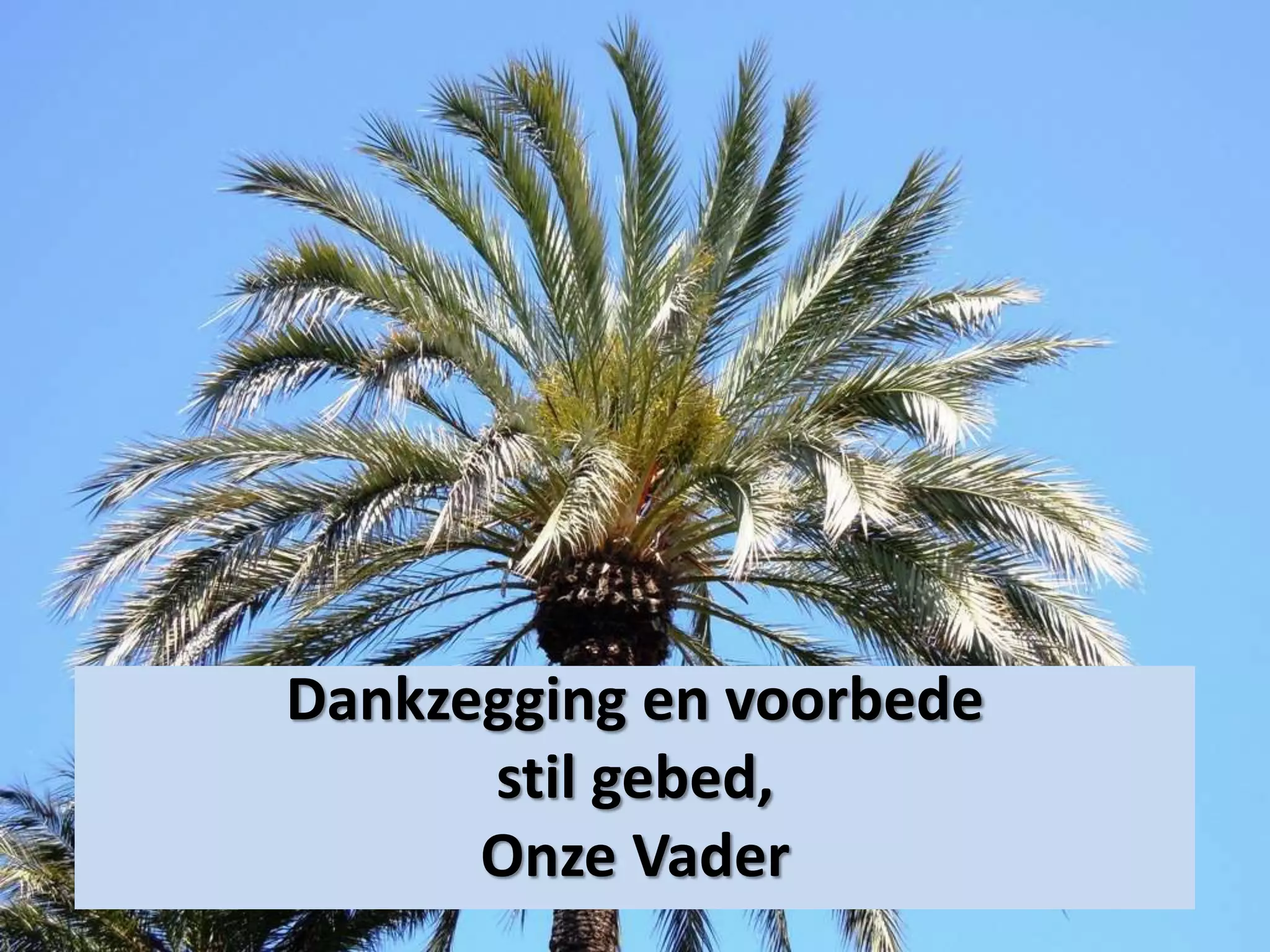 Dankzegging en voorbede
stil gebed,
Onze Vader
 