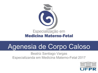 Agenesia de Corpo Caloso
Beatriz Santiago Vargas
Especializanda em Medicina Materno-Fetal 2017
 