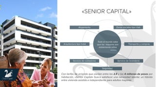 Senior Capital